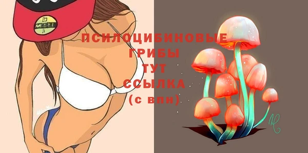 ешки Осинники