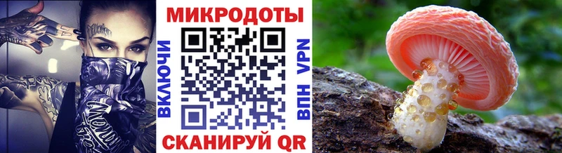 Галлюциногенные грибы прущие грибы  Серафимович 